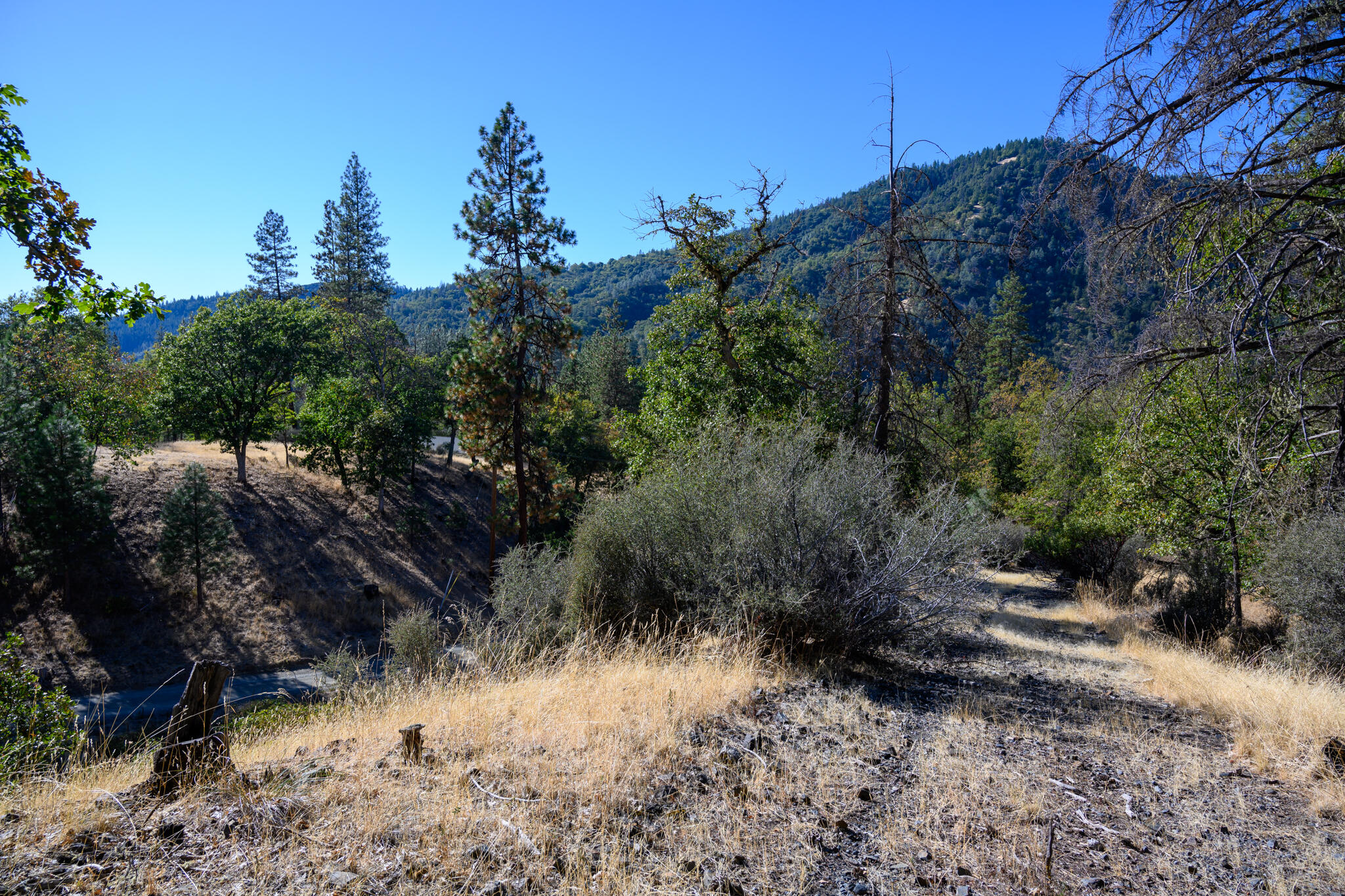 140 Lockhart Ranch Road Lewiston, CA 96052 - Photo 25 of 25 Access Drive