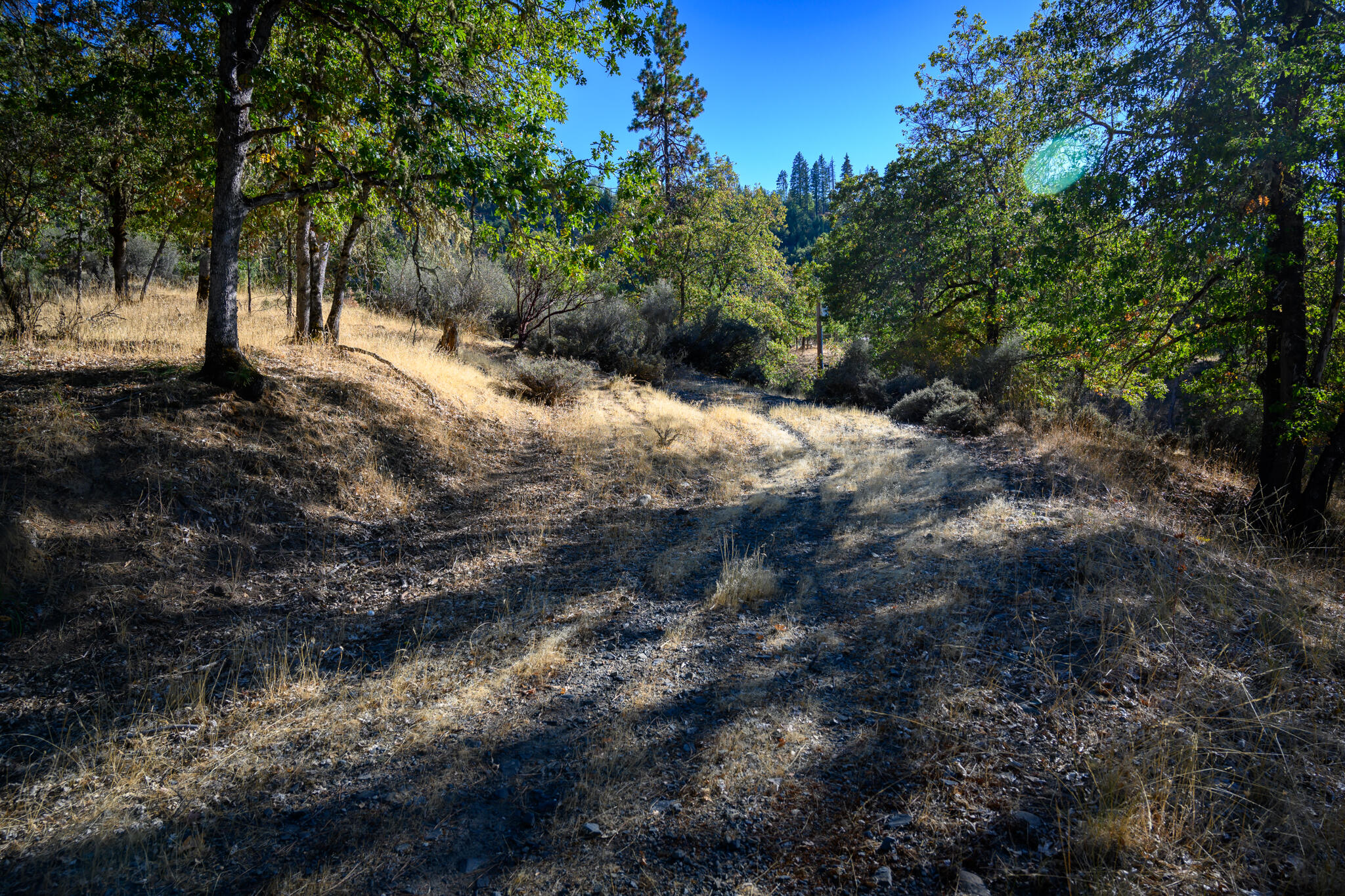 140 Lockhart Ranch Road Lewiston, CA 96052 - Photo 3 of 25 Access Drive