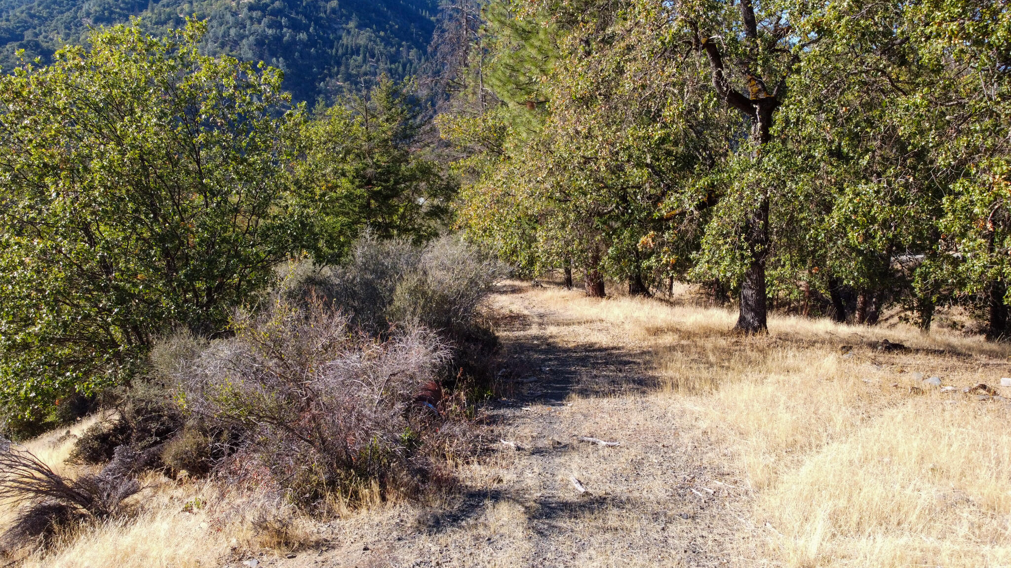 140 Lockhart Ranch Road Lewiston, CA 96052 - Photo 4 of 25 Access Drive