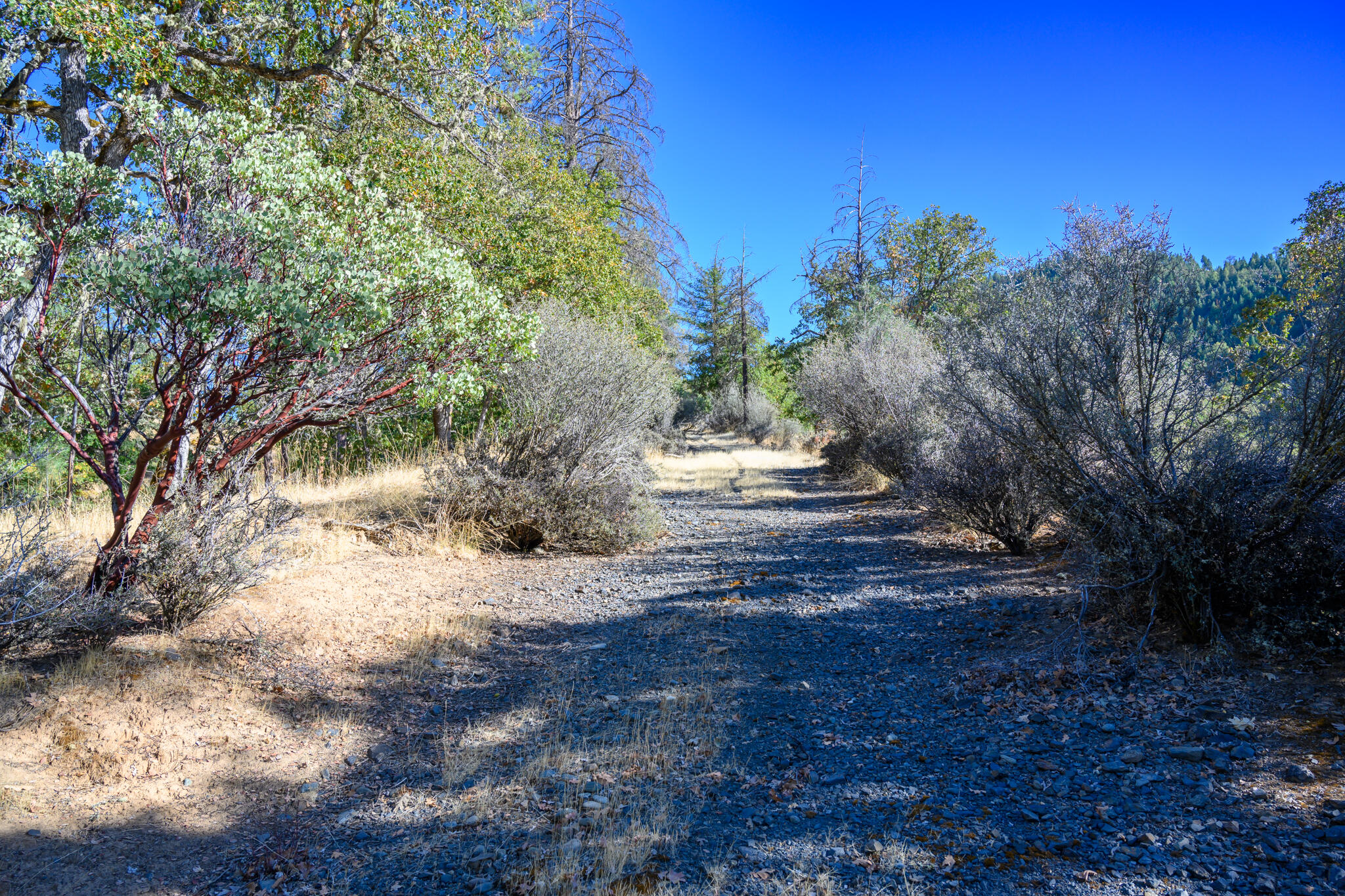140 Lockhart Ranch Road Lewiston, CA 96052 - Photo 5 of 25 Access Drive