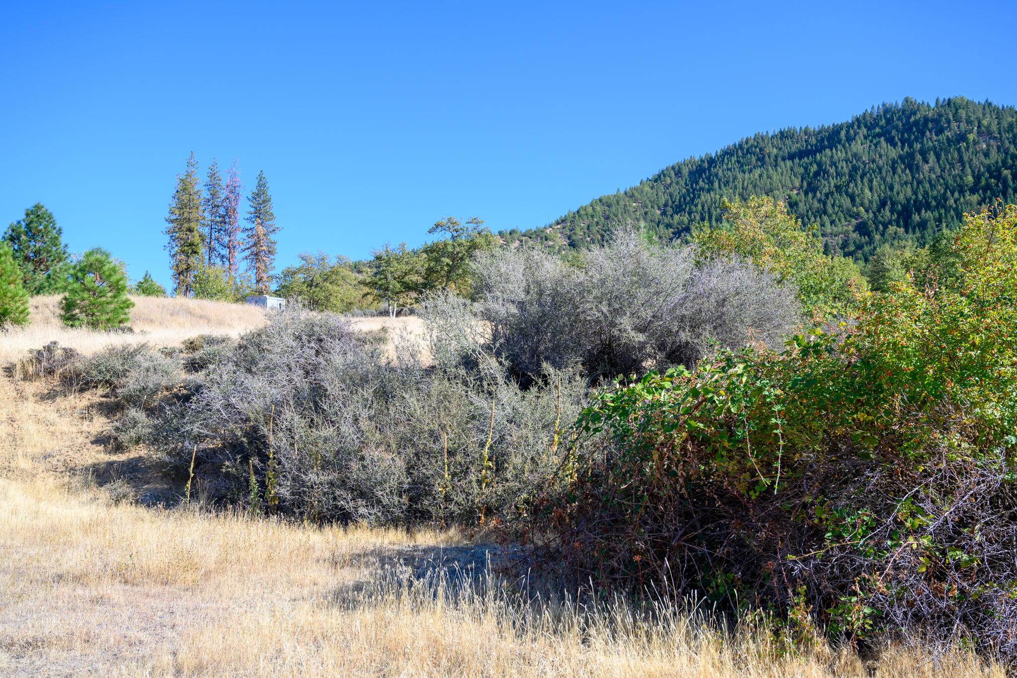 140 Lockhart Ranch Road Lewiston, CA 96052 - Photo 6 of 25 Views