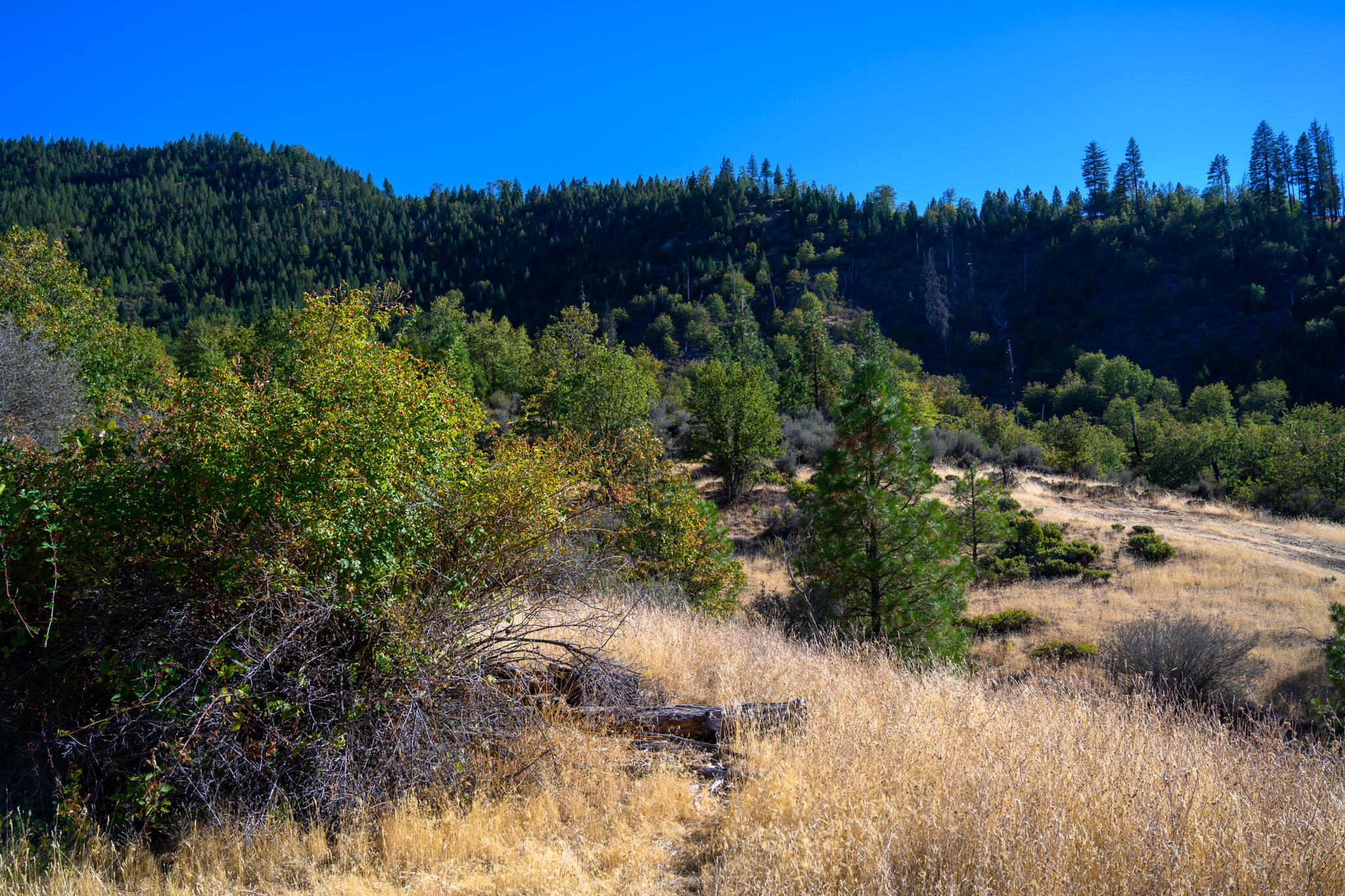 140 Lockhart Ranch Road Lewiston, CA 96052 - Photo 7 of 25 Views