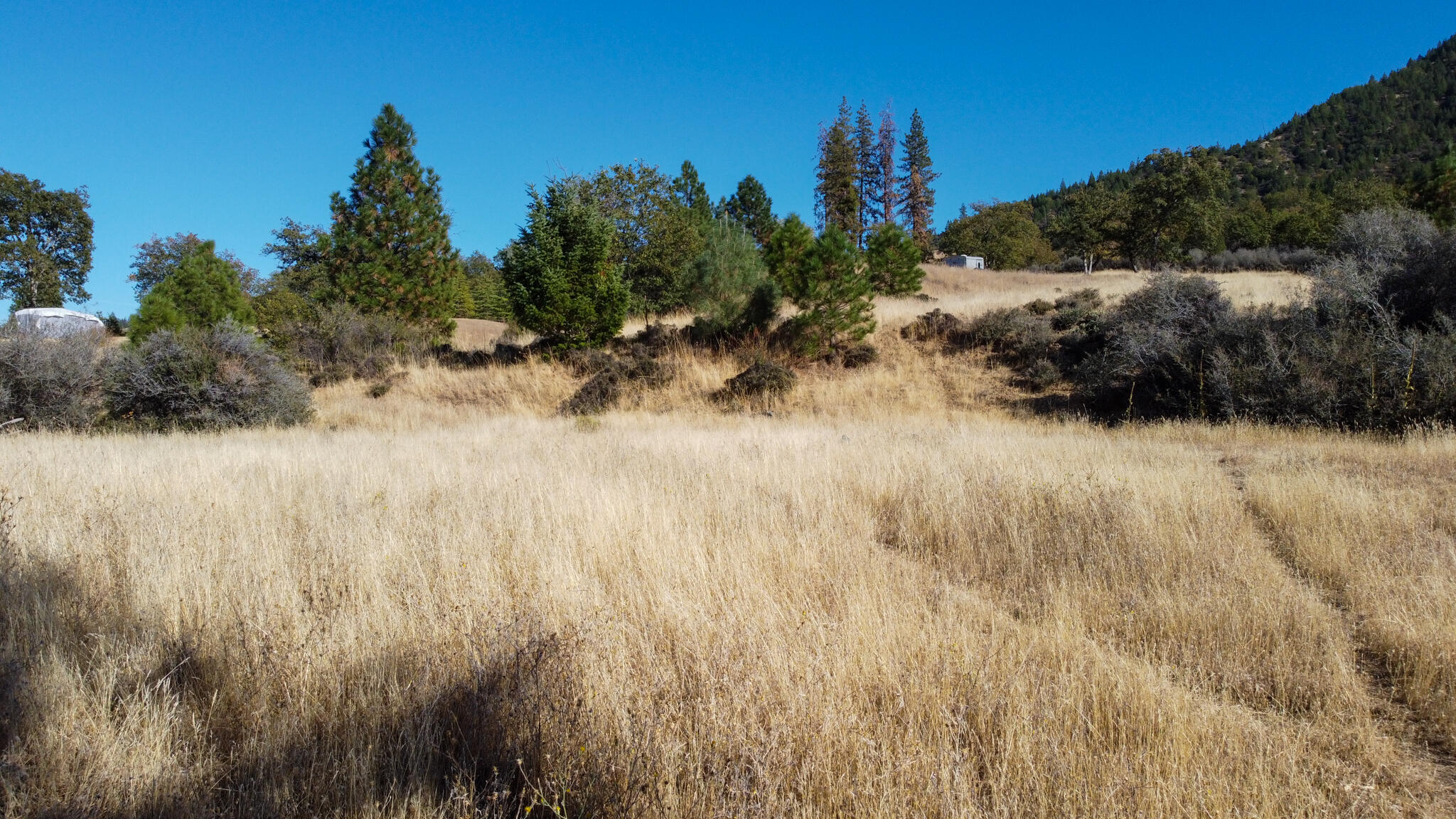 140 Lockhart Ranch Road Lewiston, CA 96052 - Photo 9 of 25 Building Pad