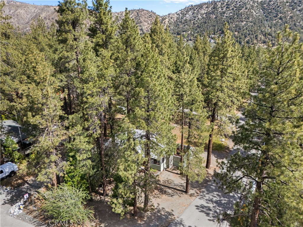 1100 Partridge Road Wrightwood, CA 92397 - Photo 30 of 32 Lots of trees surrounding the house