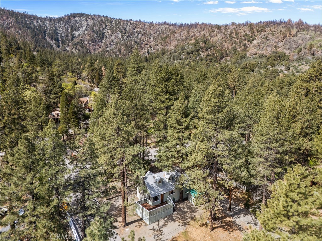 1100 Partridge Road Wrightwood, CA 92397 - Photo 31 of 32 aerial view