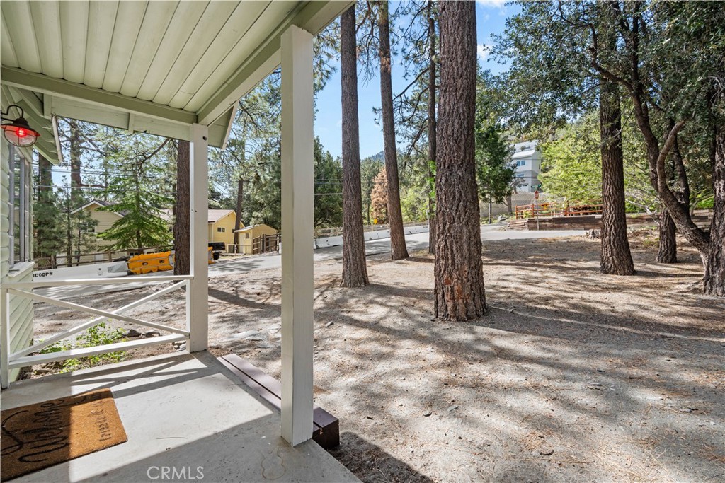 1100 Partridge Road Wrightwood, CA 92397 - Photo 5 of 32 Porch/entry