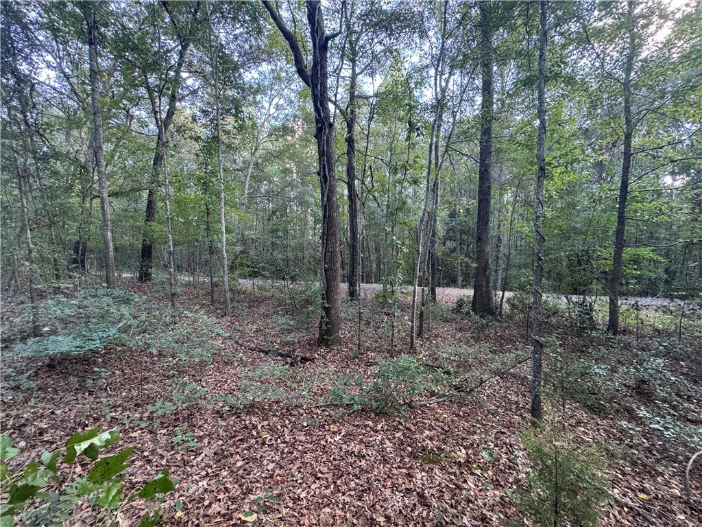 1584 River Road Valley, AL 36854 - Photo 3 of 8 Gallery Image 3