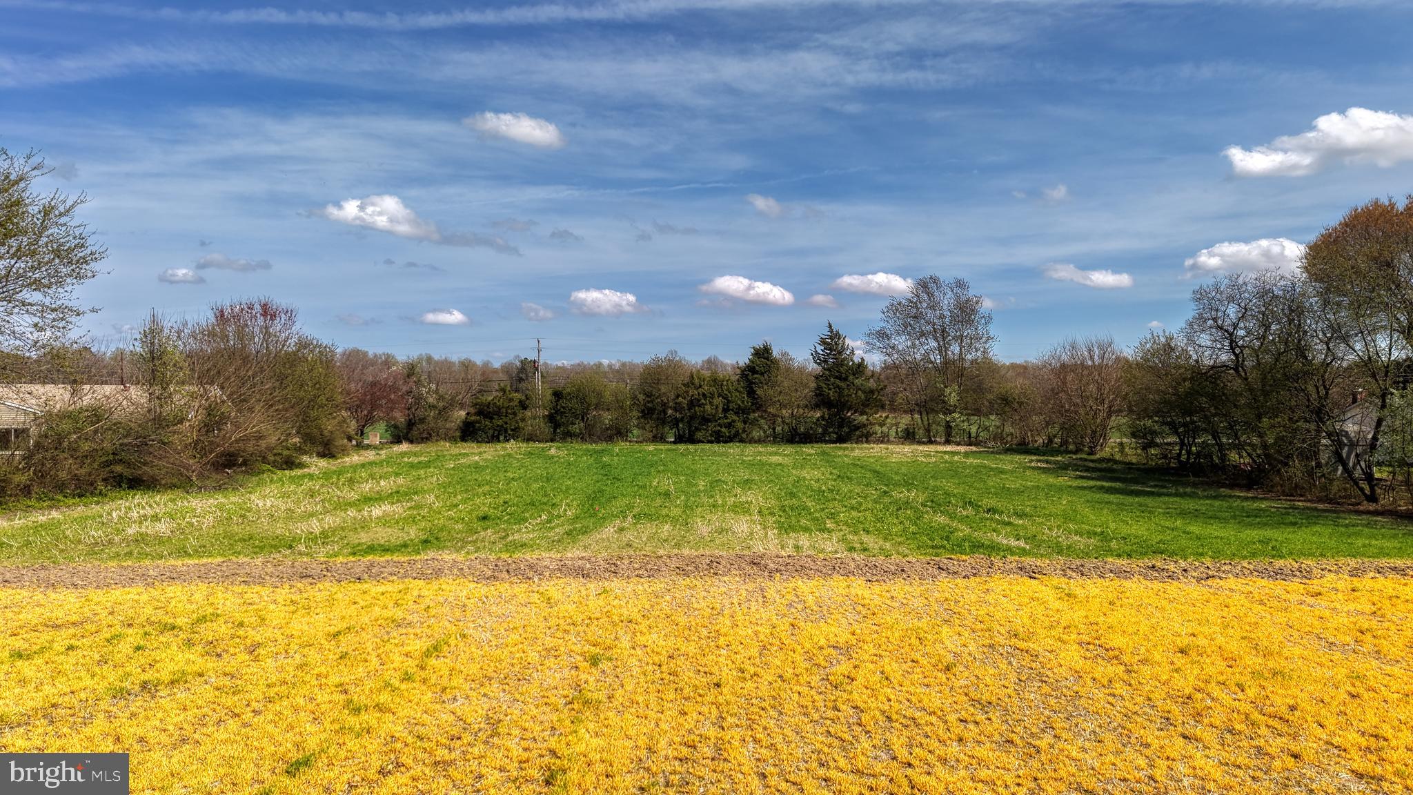 Back of lot facing the road