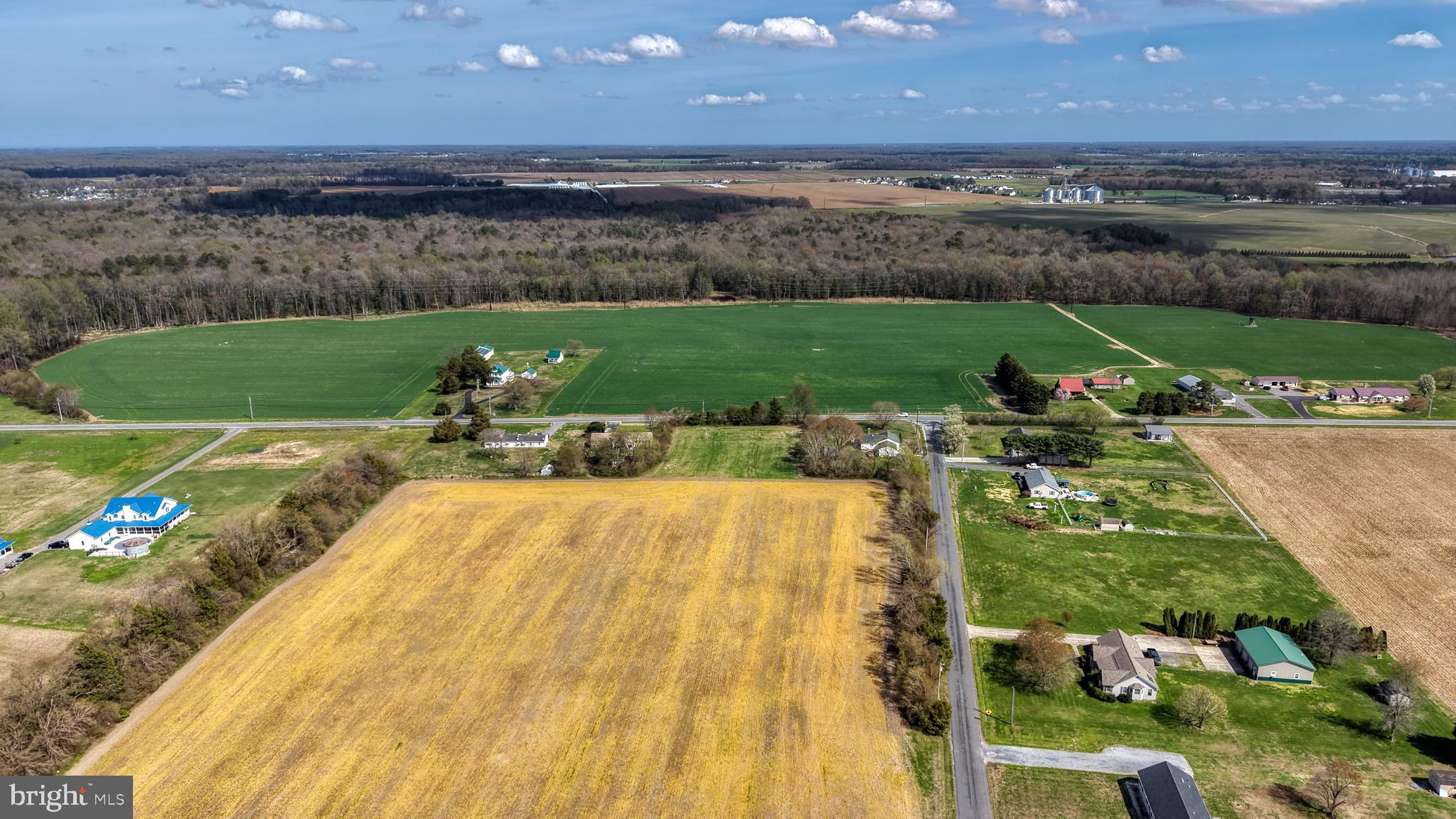 Little Mastens Corner Road Felton, DE 19943 - Photo 14 of 24 Back of lot facing the road
