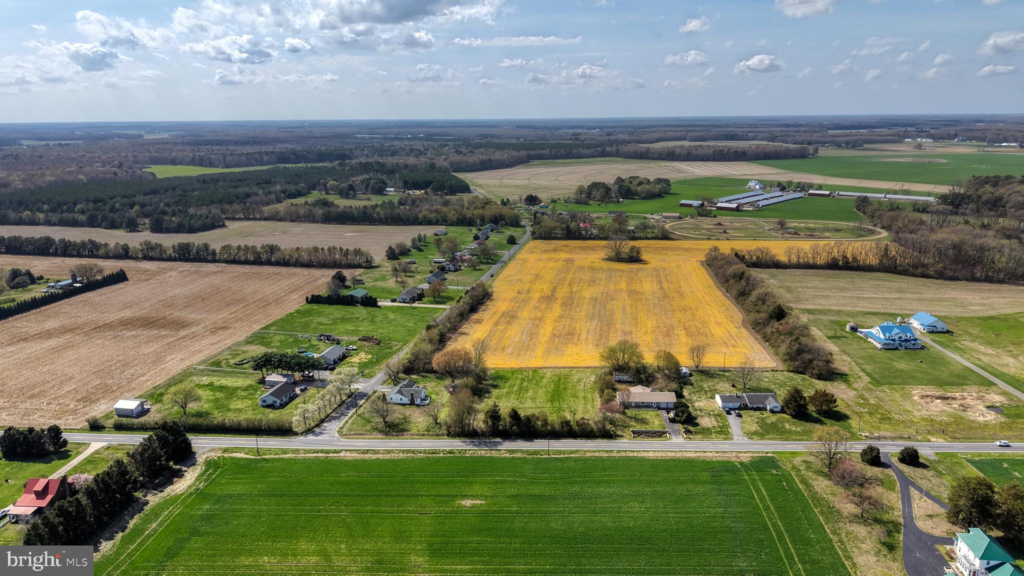 Little Mastens Corner Road Felton, DE 19943 - Photo 19 of 24 Road front looting at lot