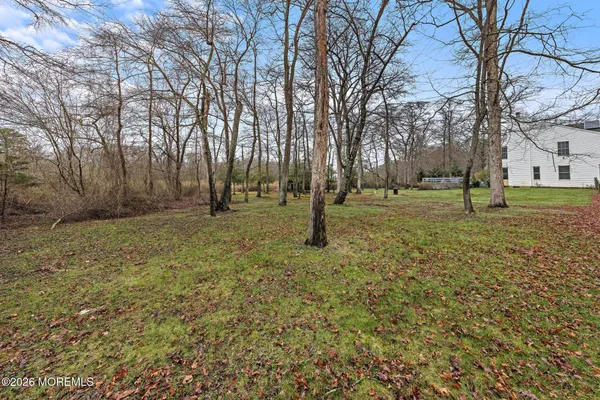 a view of park with large trees