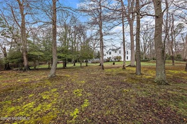 a view of a park with large trees
