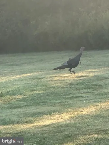 $1,299,000 | 1870 General Potter Highway, Centre Hall, PA 16828