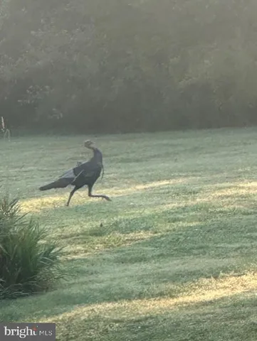 $1,299,000 | 1870 General Potter Highway, Centre Hall, PA 16828