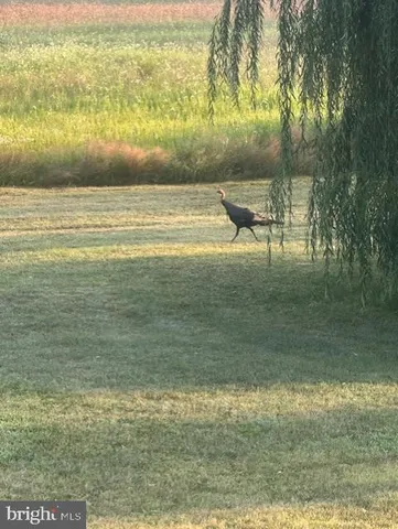 $1,299,000 | 1870 General Potter Highway, Centre Hall, PA 16828