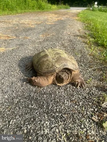 $1,299,000 | 1870 General Potter Highway, Centre Hall, PA 16828