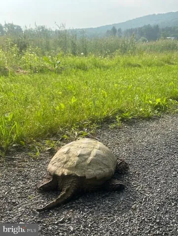 $1,299,000 | 1870 General Potter Highway, Centre Hall, PA 16828