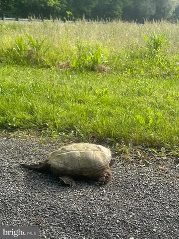 $1,299,000 | 1870 General Potter Highway, Centre Hall, PA 16828