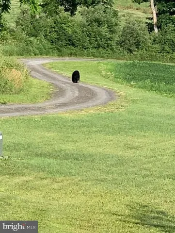 $1,299,000 | 1870 General Potter Highway, Centre Hall, PA 16828