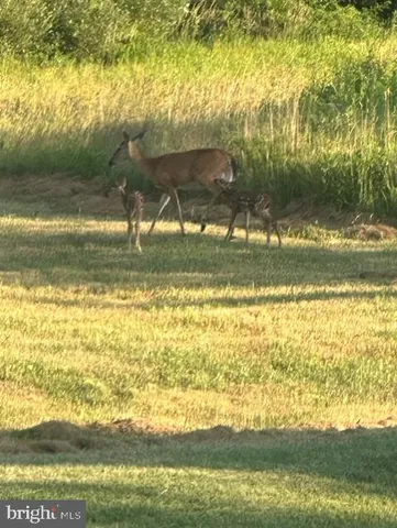 $1,299,000 | 1870 General Potter Highway, Centre Hall, PA 16828