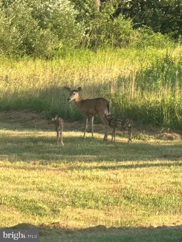 $1,299,000 | 1870 General Potter Highway, Centre Hall, PA 16828
