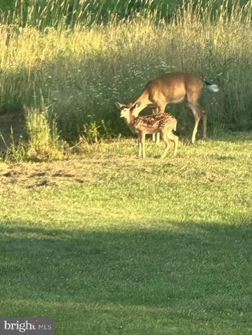 $1,299,000 | 1870 General Potter Highway, Centre Hall, PA 16828