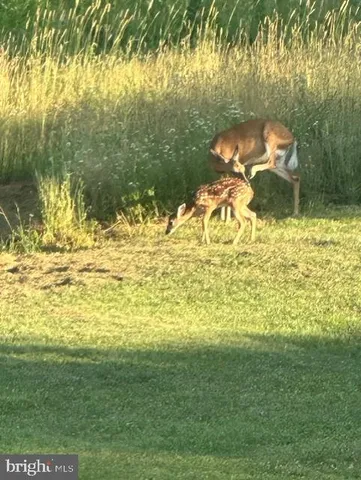 $1,299,000 | 1870 General Potter Highway, Centre Hall, PA 16828