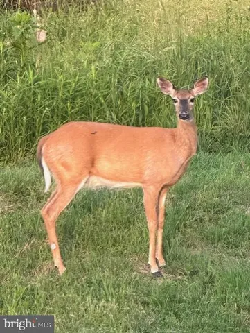 $1,299,000 | 1870 General Potter Highway, Centre Hall, PA 16828