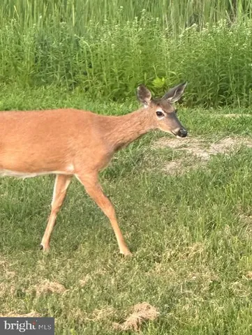 $1,299,000 | 1870 General Potter Highway, Centre Hall, PA 16828