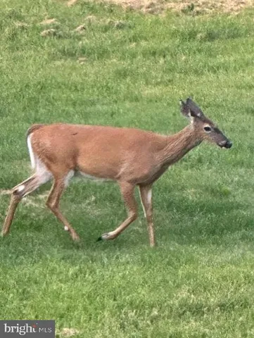 $1,299,000 | 1870 General Potter Highway, Centre Hall, PA 16828