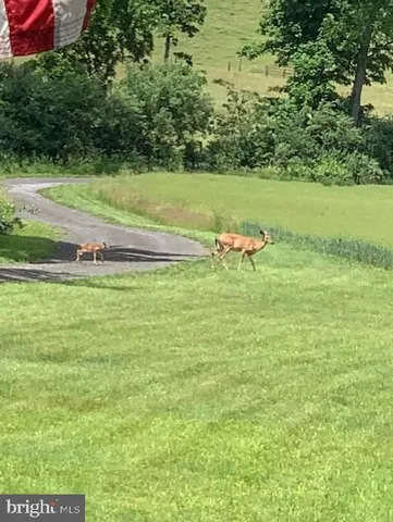 $1,299,000 | 1870 General Potter Highway, Centre Hall, PA 16828