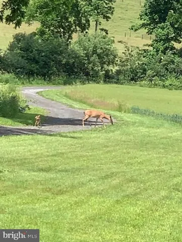 $1,299,000 | 1870 General Potter Highway, Centre Hall, PA 16828