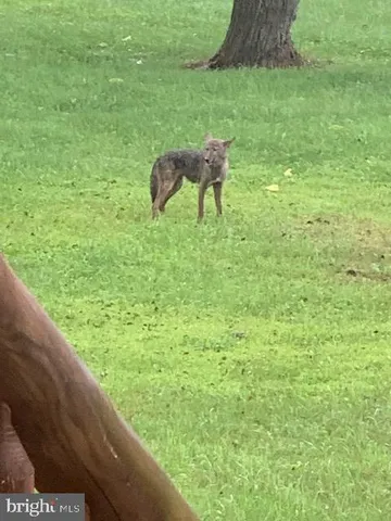 $1,299,000 | 1870 General Potter Highway, Centre Hall, PA 16828