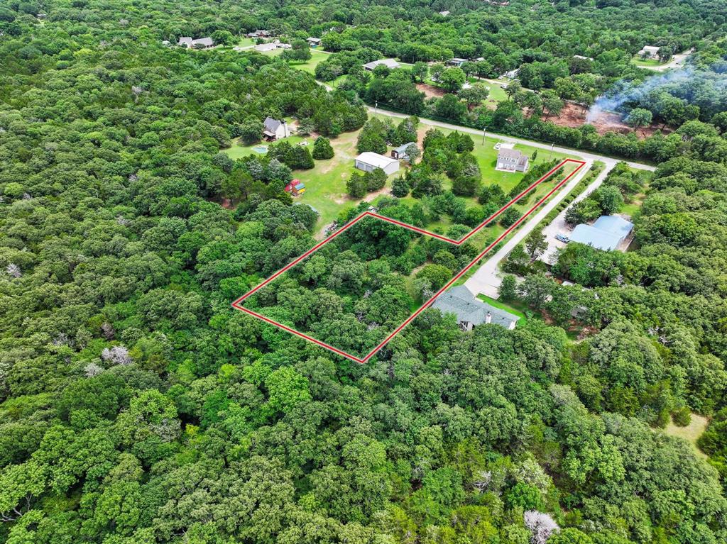 207 Paradise Park Road Pottsboro, TX 75076 - Photo 18 of 28 Expansive wooded acreage featuring mature trees and a residential structure
