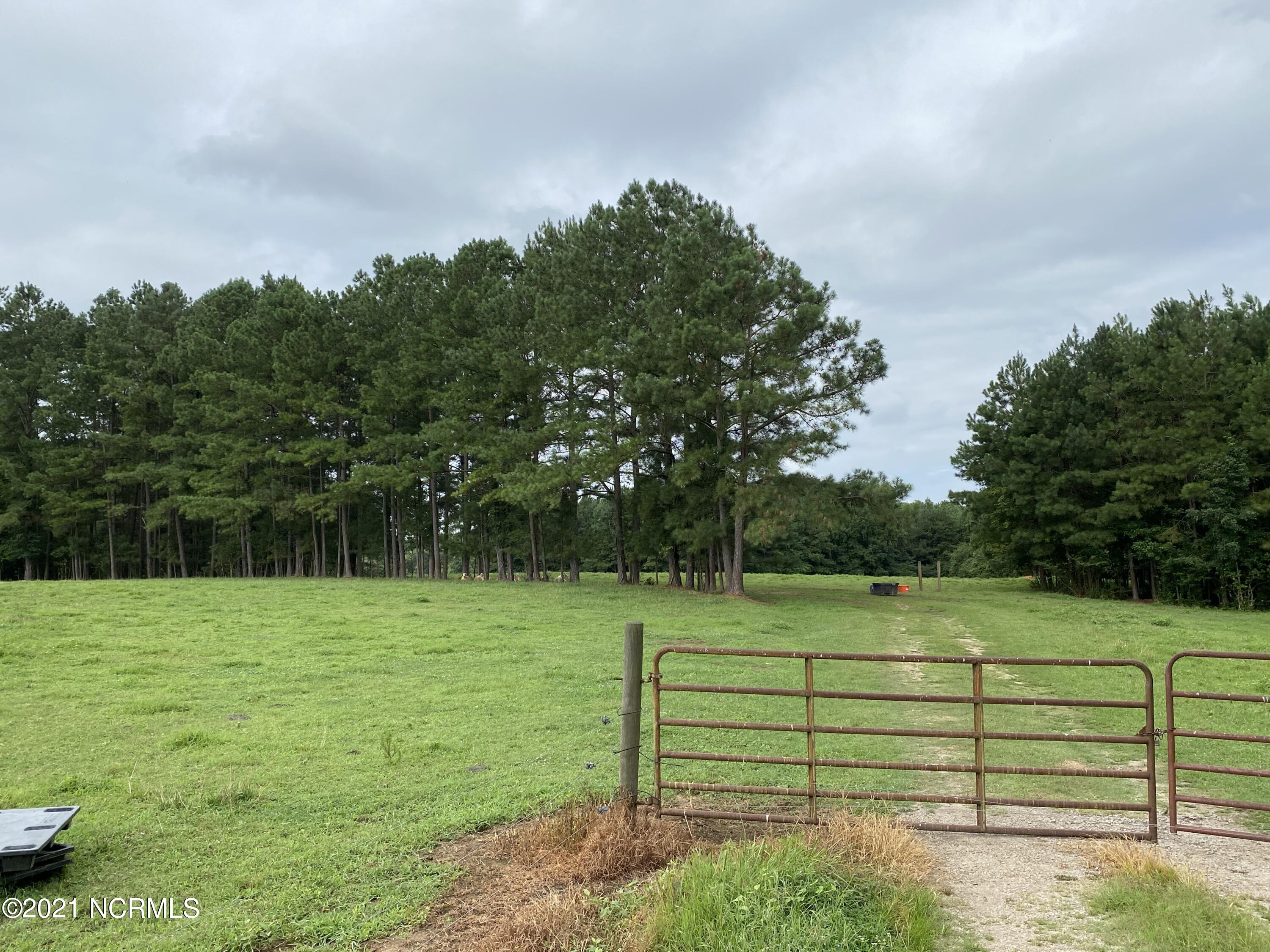 1069 Reed Road Castalia, NC 27816 - Photo 6 of 6 IMG_2644