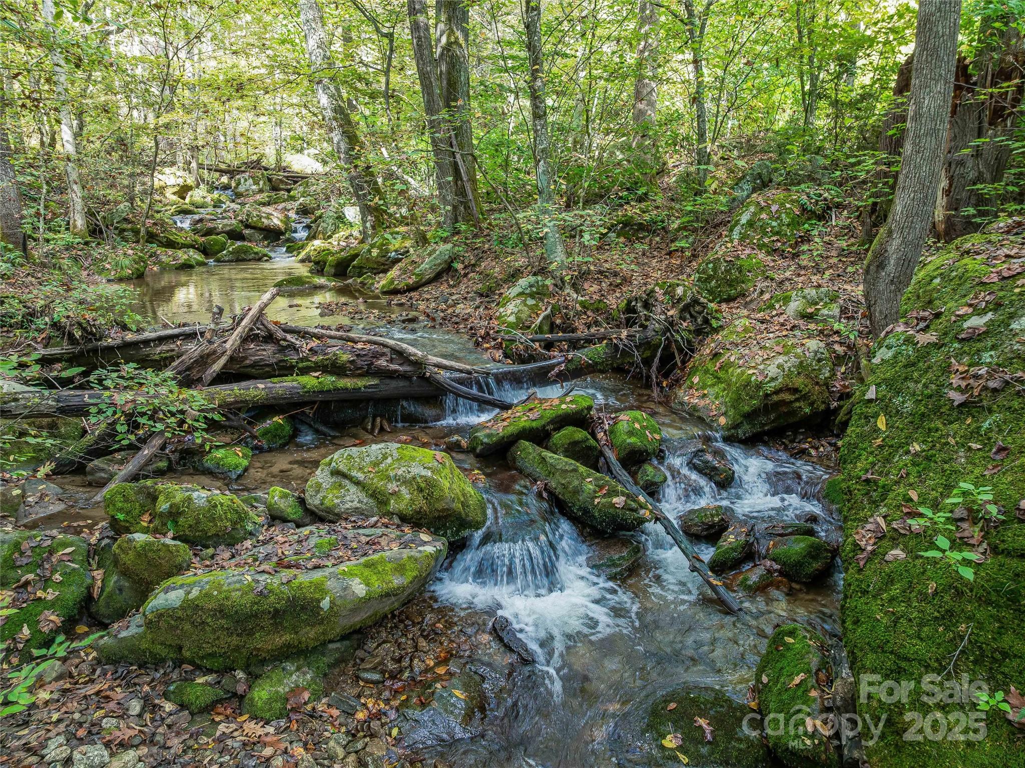 945 Roaring Fork Road Hot Springs, NC 28743 - Photo 3 of 48 a view of a garden with plants