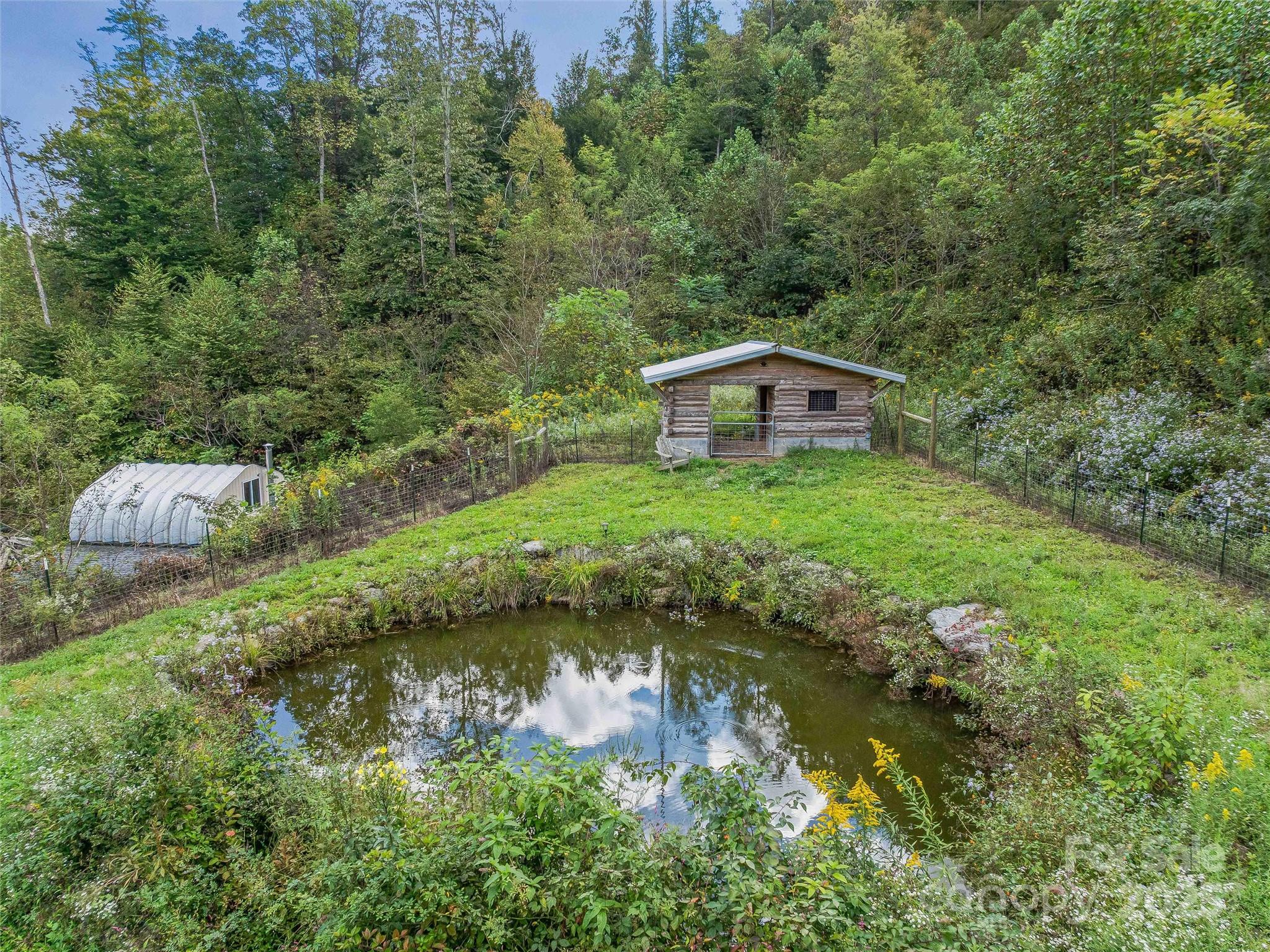 945 Roaring Fork Road Hot Springs, NC 28743 - Photo 33 of 48 a backyard of a house with a garden and plants