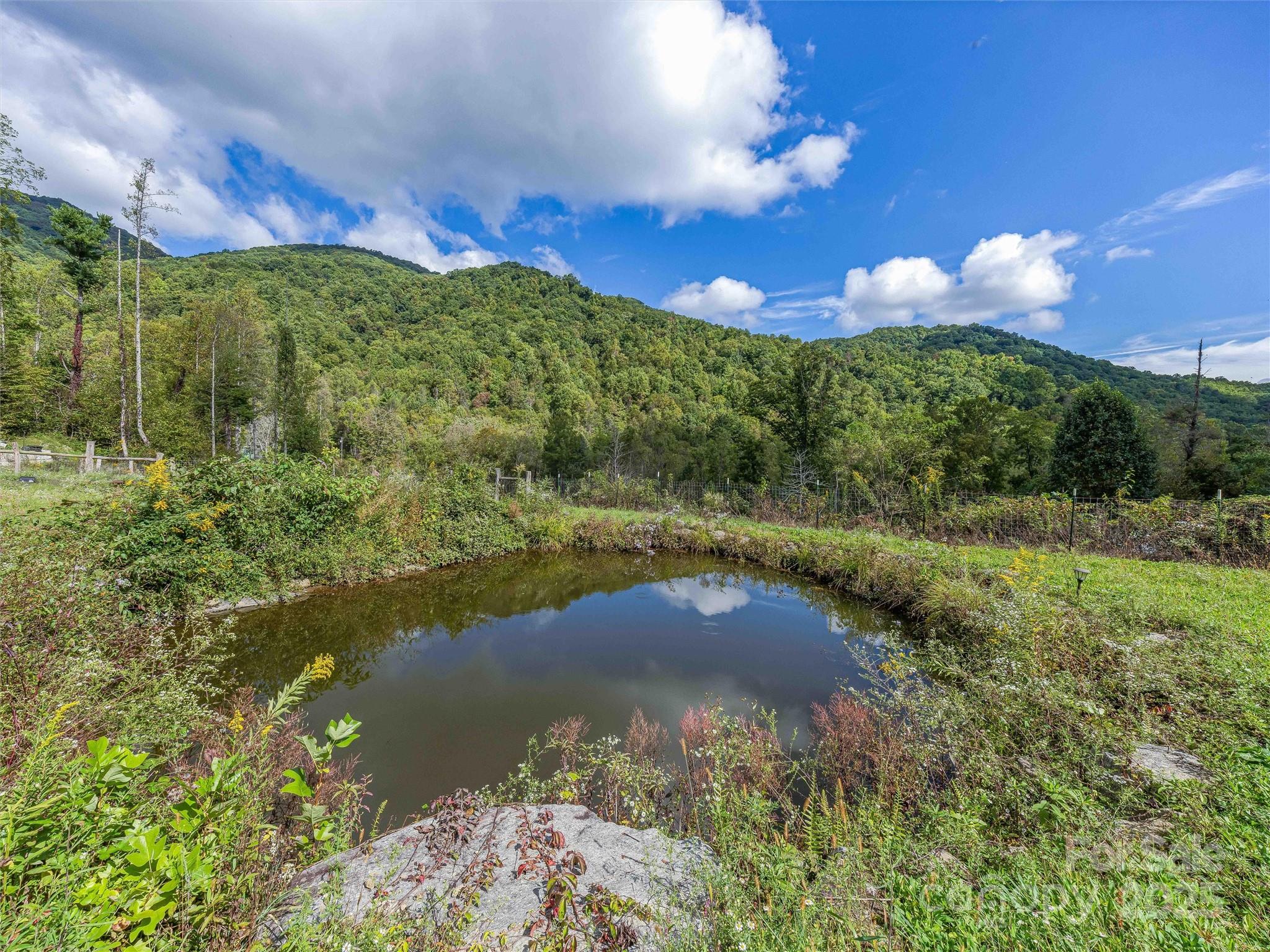 945 Roaring Fork Road Hot Springs, NC 28743 - Photo 34 of 48 a view of a lake with a yard