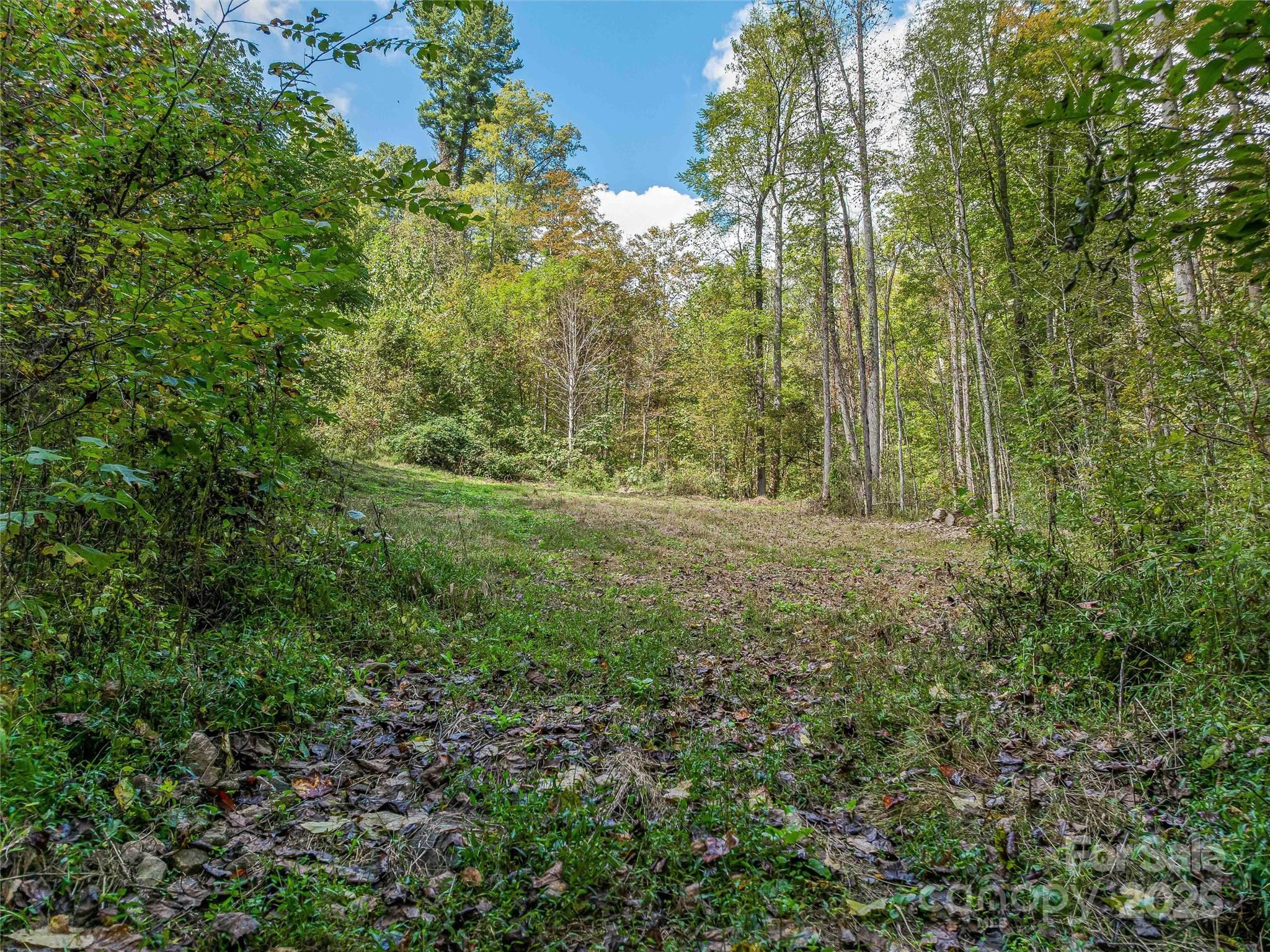 945 Roaring Fork Road Hot Springs, NC 28743 - Photo 43 of 48 a view of outdoor space and yard