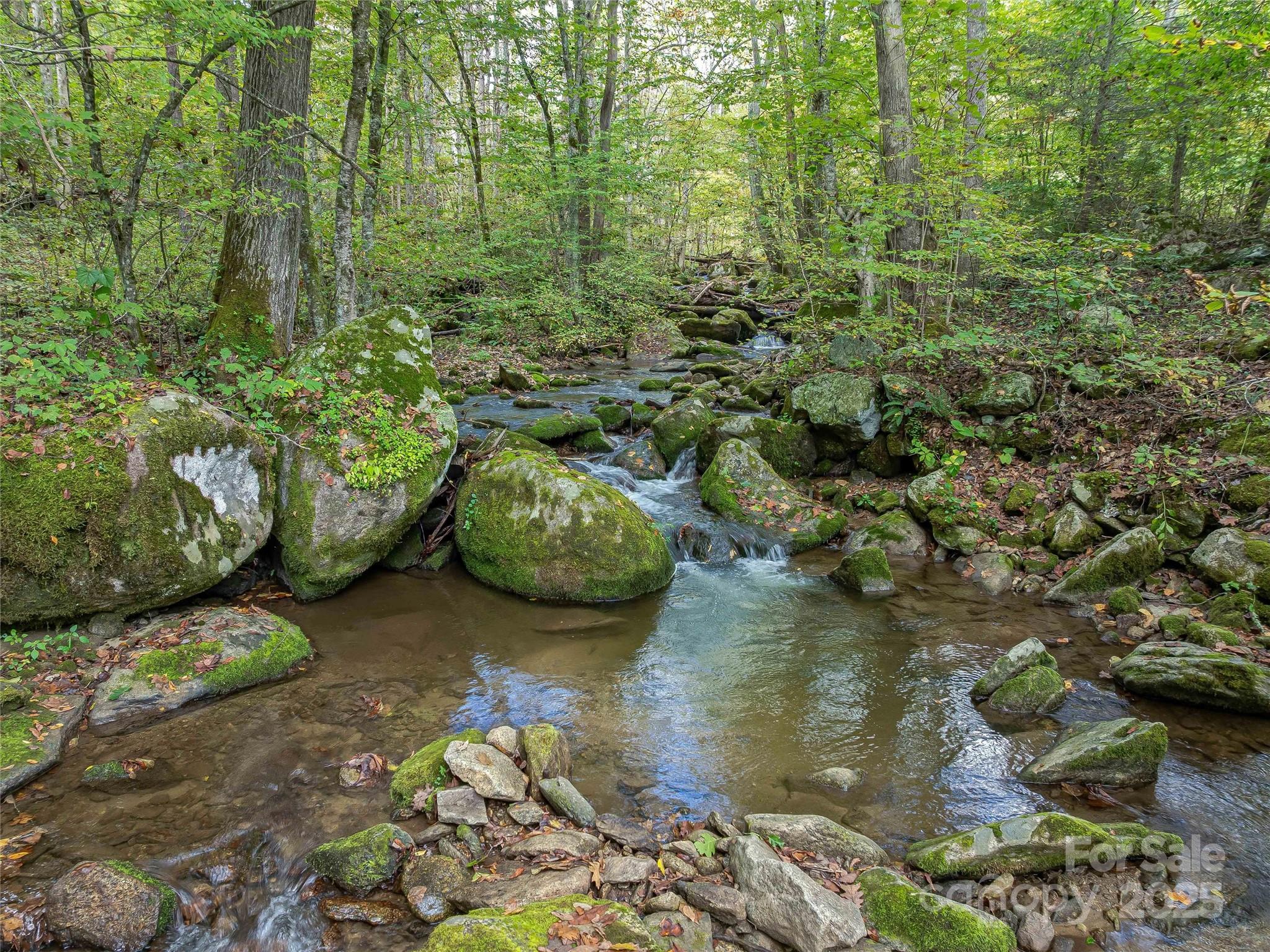 945 Roaring Fork Road Hot Springs, NC 28743 - Photo 44 of 48