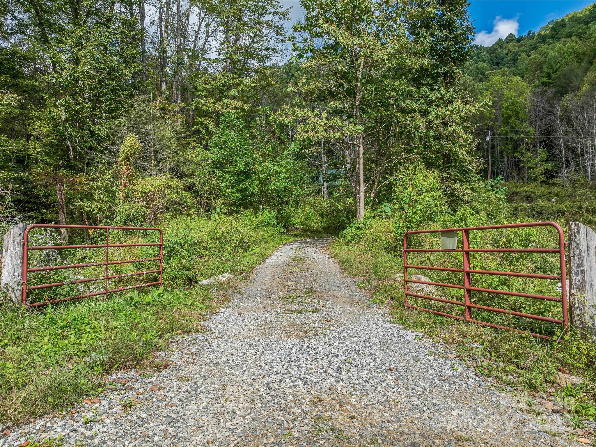 945 Roaring Fork Road Hot Springs, NC 28743 - Photo 45 of 48 a view of a yard with wooden fence