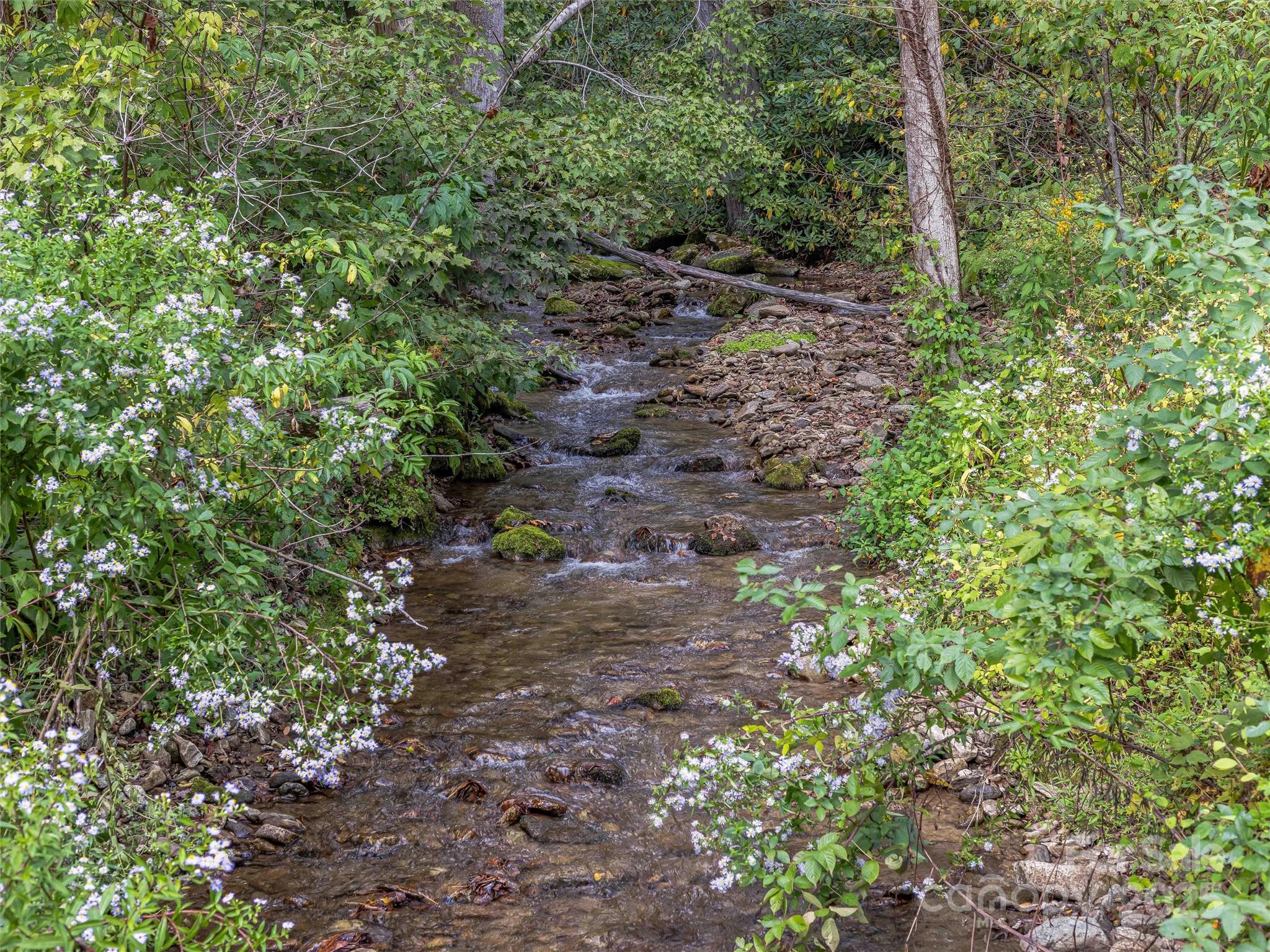 945 Roaring Fork Road Hot Springs, NC 28743 - Photo 46 of 48 a view of a yard with plants and a tree