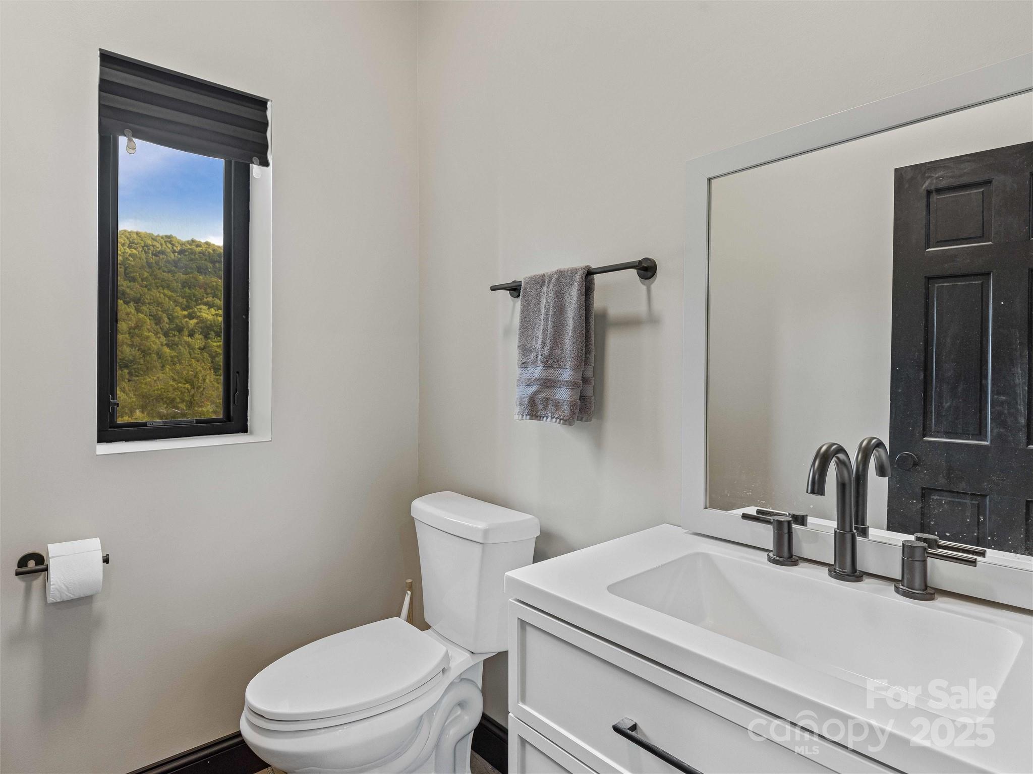945 Roaring Fork Road Hot Springs, NC 28743 - Photo 10 of 48 a bathroom with a sink a toilet and mirror