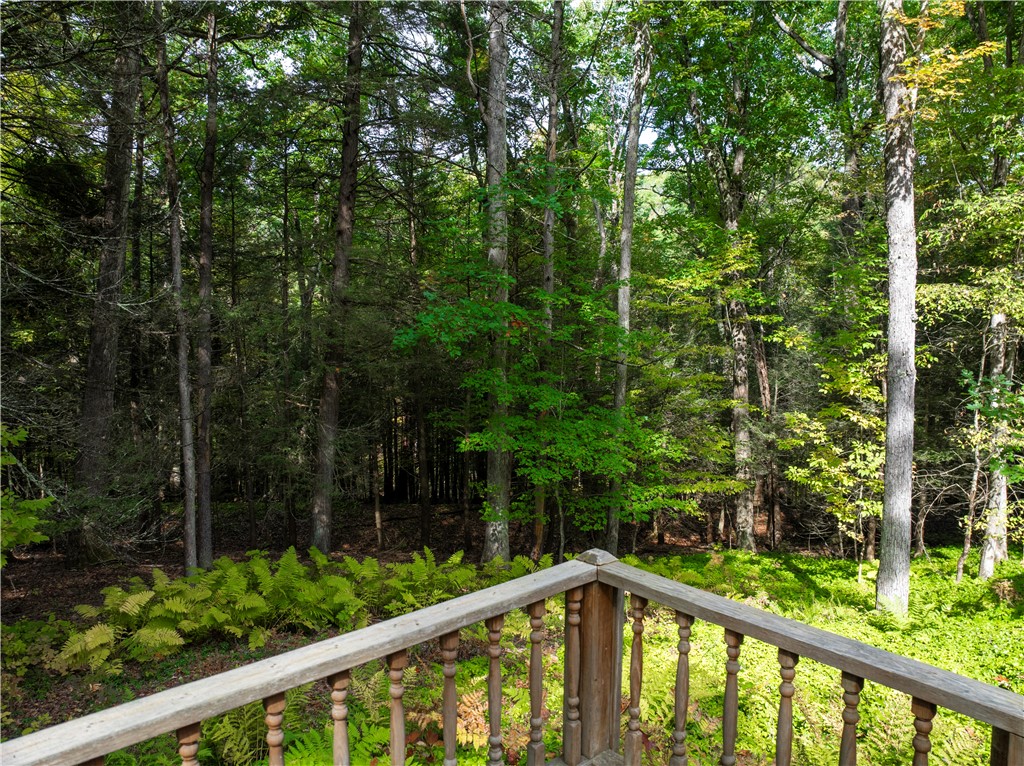 460 Beartown Road Erwin, NY 14870 - Photo 7 of 50 Gallery Image 7