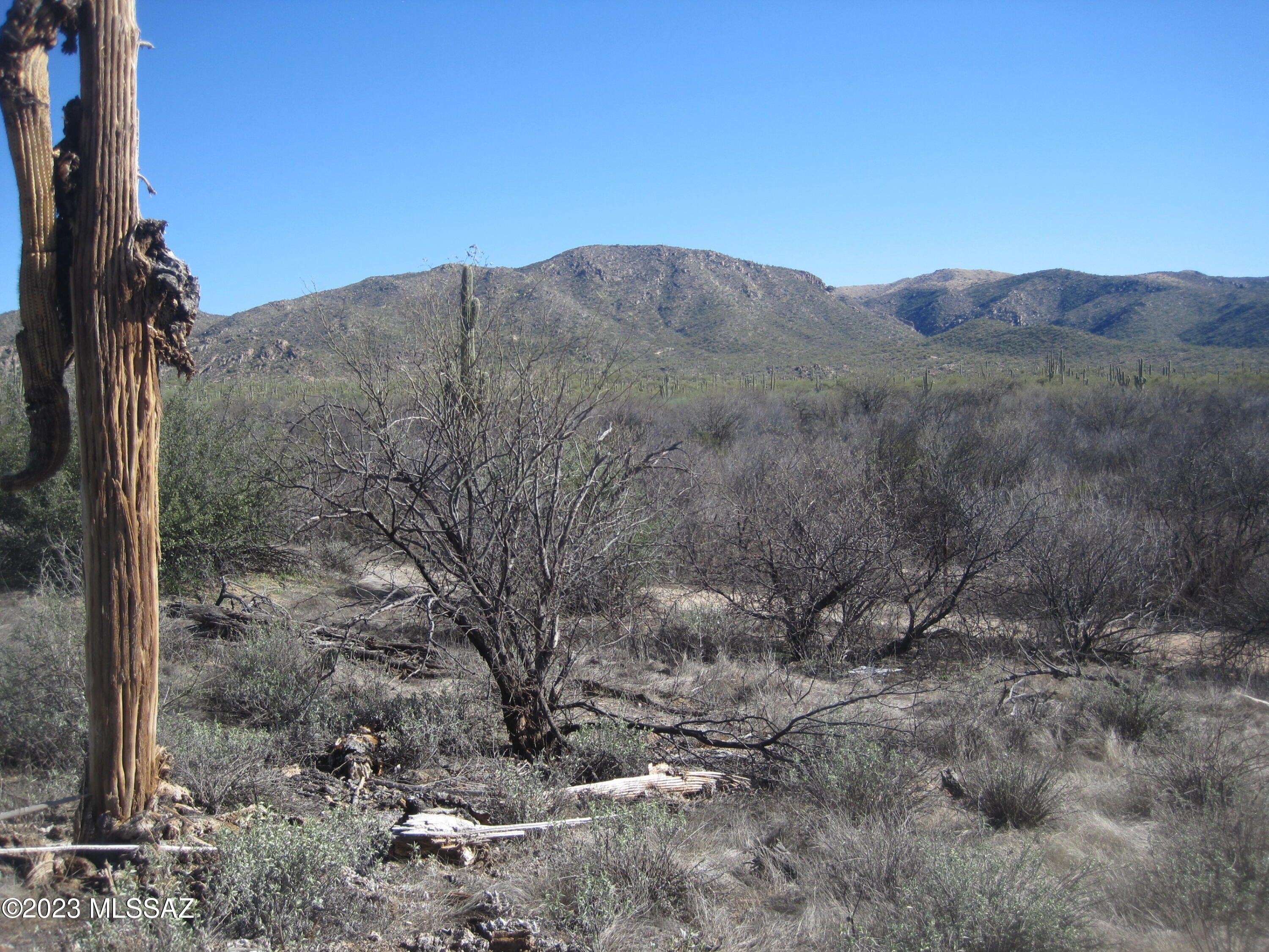 Xxx South Guild Road Marana, AZ 85658 - Photo 29 of 33 Gallery Image 29