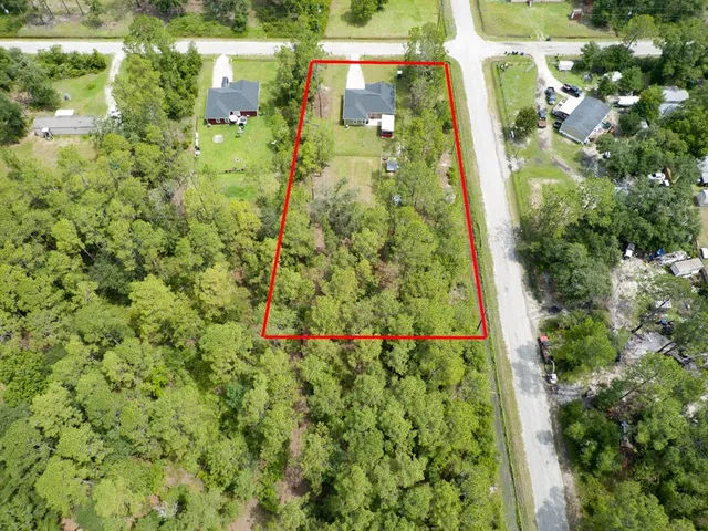 a close up of a trees