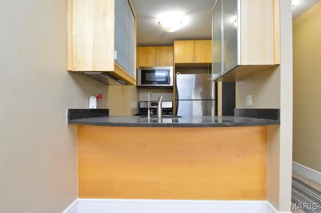 $15,000 | 210 North 17th Street, Unit 510, St. Louis, MO 63103