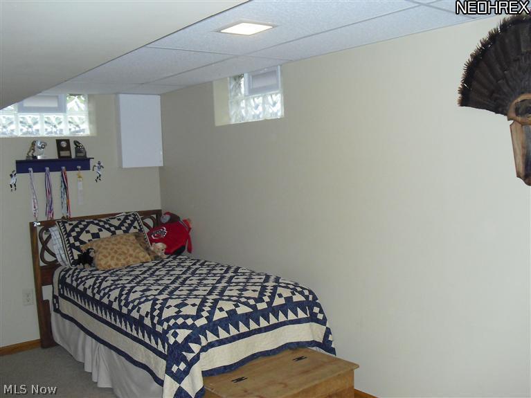 6250 Dodge Road Southwest Canton, OH 44706 - Photo 15 of 25 Bonus room in the basement, used as a bedroom. This is a multi purpose room