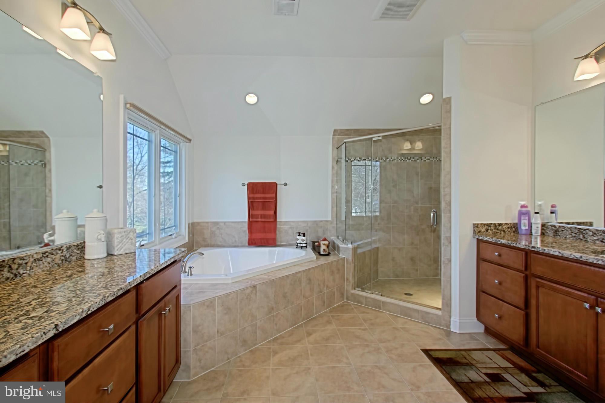 1882 Beulah Road Vienna, VA 22182 - Photo 15 of 30 Bath (Master)