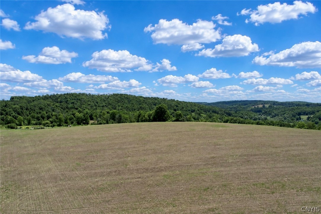 0 Roberts Road Eaton, NY 13334 - Photo 11 of 13